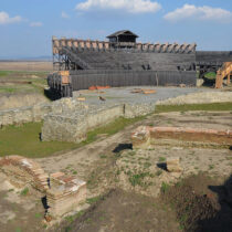First physical evidence of a brown bear in Roman arena spectacles