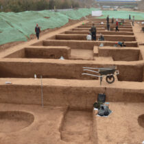 Discovery expands understanding of Neolithic agricultural practices