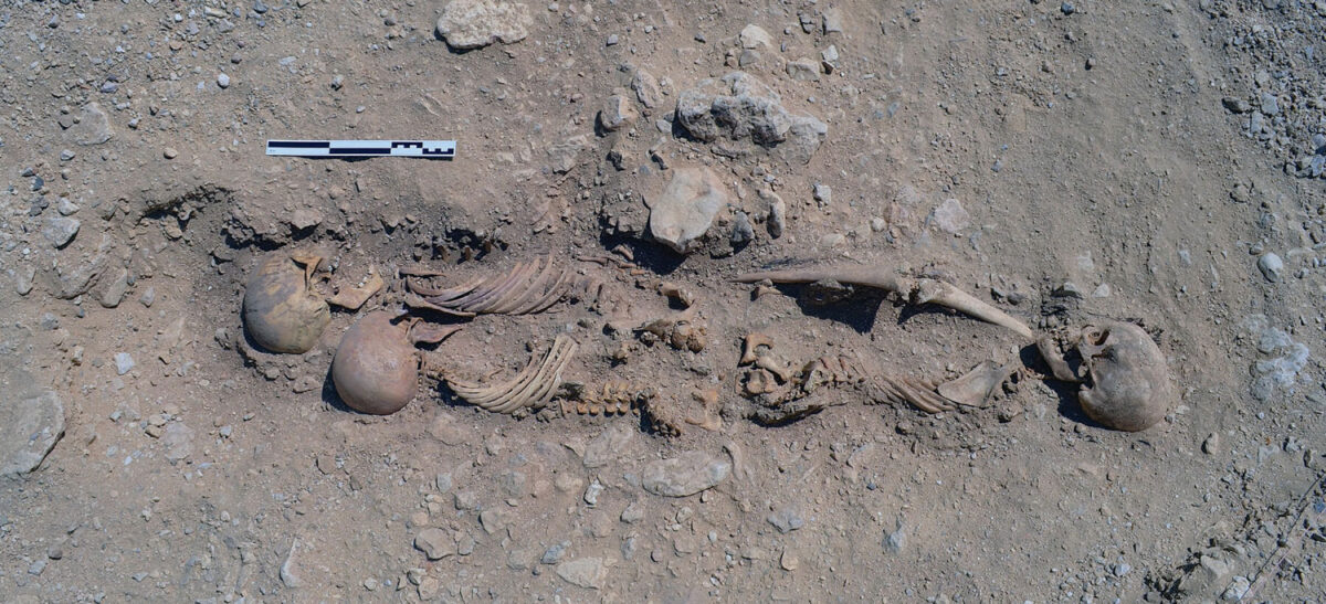 An undisturbed burial of three individuals at the North Tombs Cemetery, Amarna, Egypt
Courtesy the Amarna Project