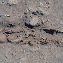 Mortality Crisis at Akhetaten?