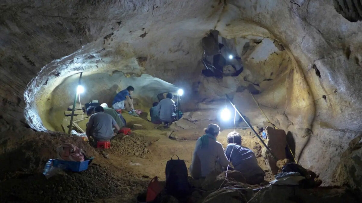 Archaeologists working deep within Coc Muoi cave during a Vietnamese–French collaborative field campaign. The illuminated excavation area yielded fossil teeth of Pleistocene mammals, later analyzed for their chemical signatures to reconstruct ancient diets and environments. © Truong Huu Nghia, Anthropological and Palaeoenvironmental Department of Vietnam’s Institute of Archaeology