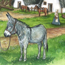 Colonists brought donkeys, not just horses, to North America