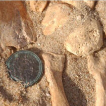 Two unsuspected pathogens struck Napoleon’s army