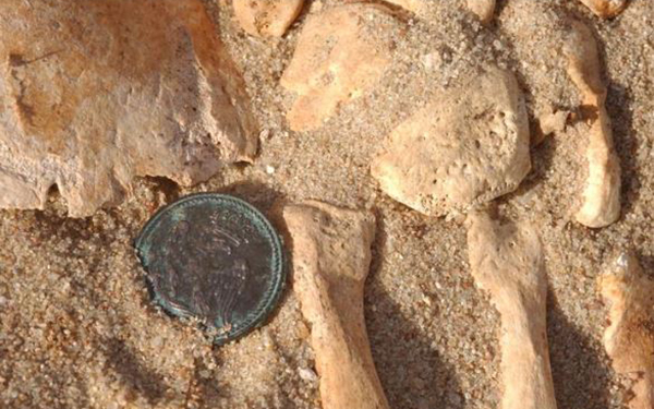 Two unsuspected pathogens struck Napoleon’s army