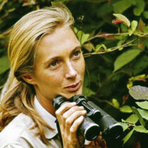 Jane Goodall passed away at age 91