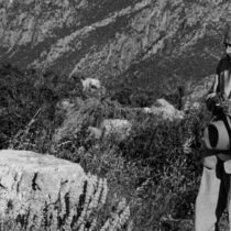 Dimitris Pikionis: An aesthetic topography