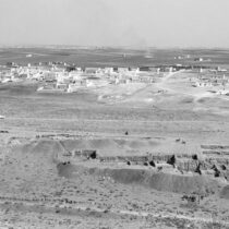 Earliest Neolithic communities were open to newcomers