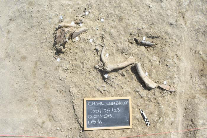 A tale from 400,000 years ago