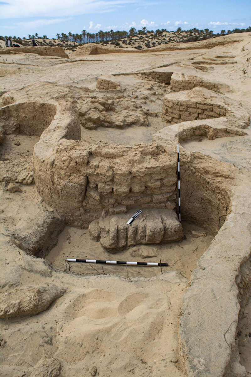 Finds from Tell el-Haruba (2025). Source: MoTA Egypt. 