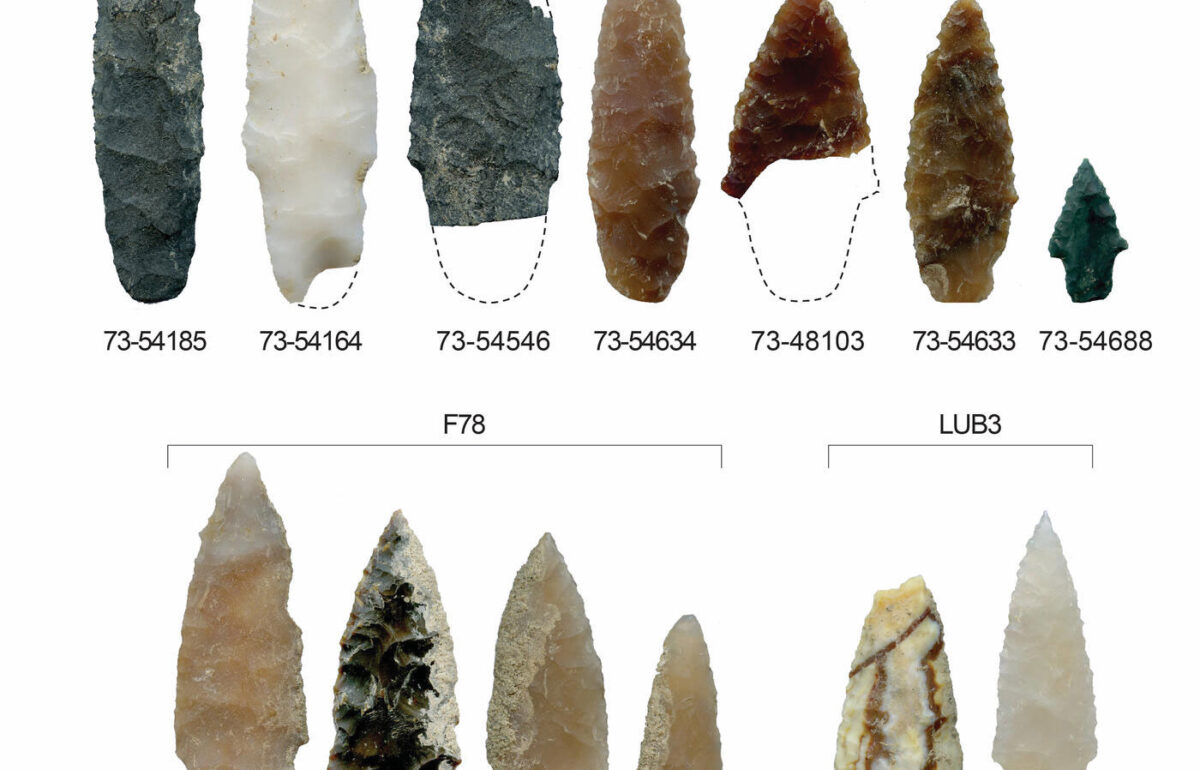 Stone projectile points. Image credit : State Oregon University. 