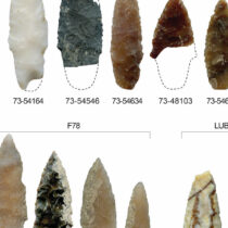 Stone tools trace Paleolithic Pacific migration
