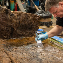 Bronze Age coffin found its new home at the Lincoln Museum