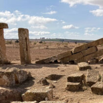 Large Roman olive press found in Tunisia
