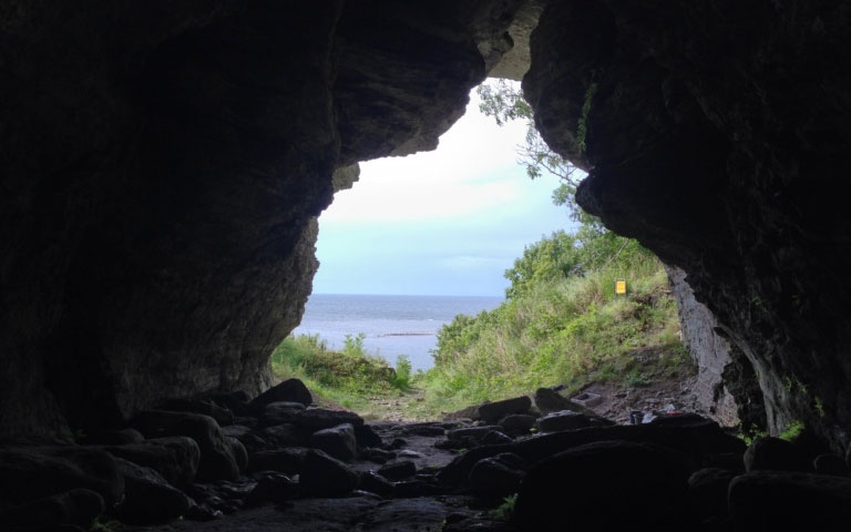 Ancient wolves and prehistoric humans