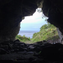 Ancient wolves and prehistoric humans