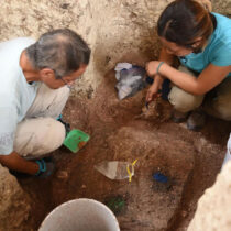 A model to represent the order of the universe