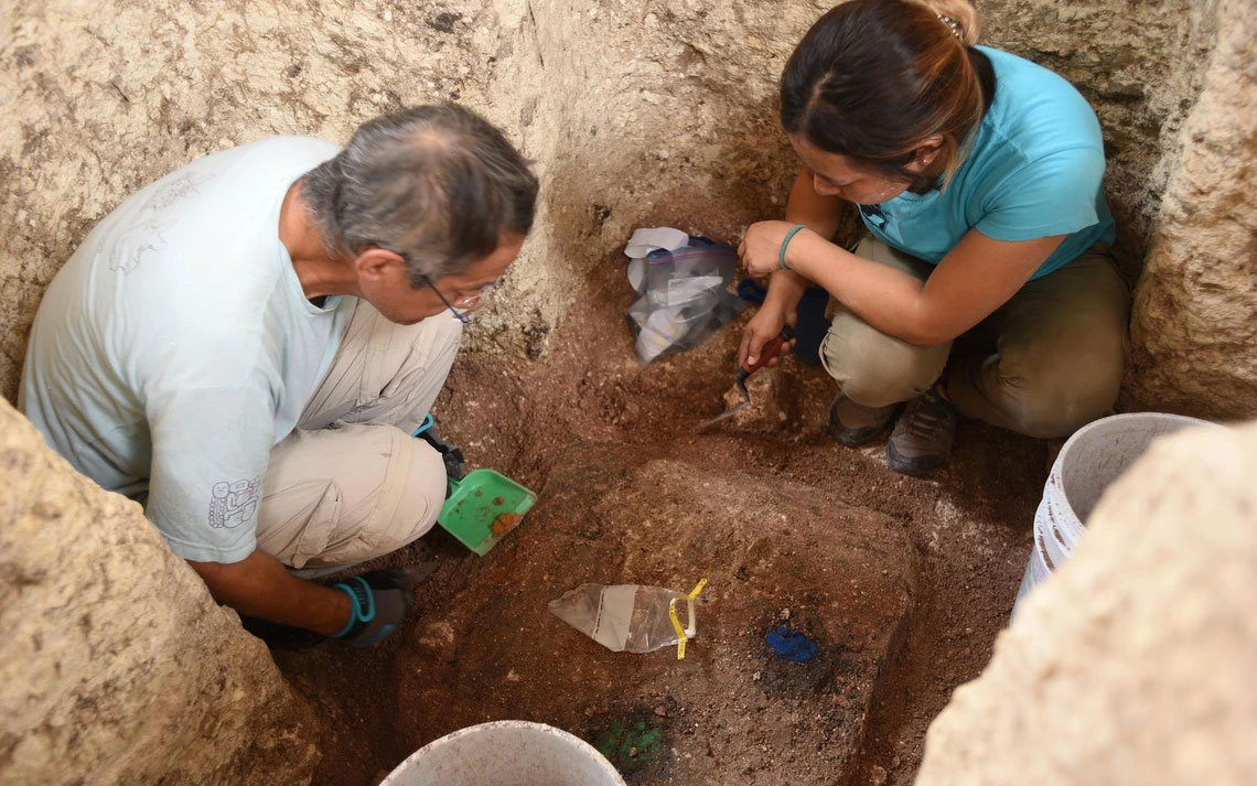 A model to represent the order of the universe