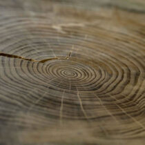 Unraveling the mysteries of ancient solar storms and earthquakes