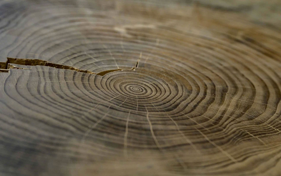 Unraveling the mysteries of ancient solar storms and earthquakes