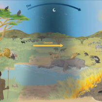 Eating carrion may have made us human