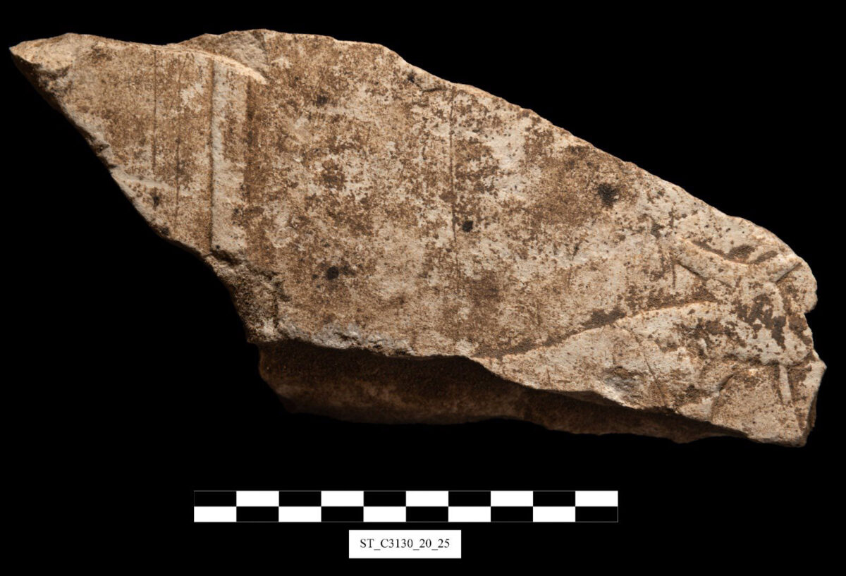 From Nyuserre’s valley temple excavations at Abusir. Image: MoTA, Egypt