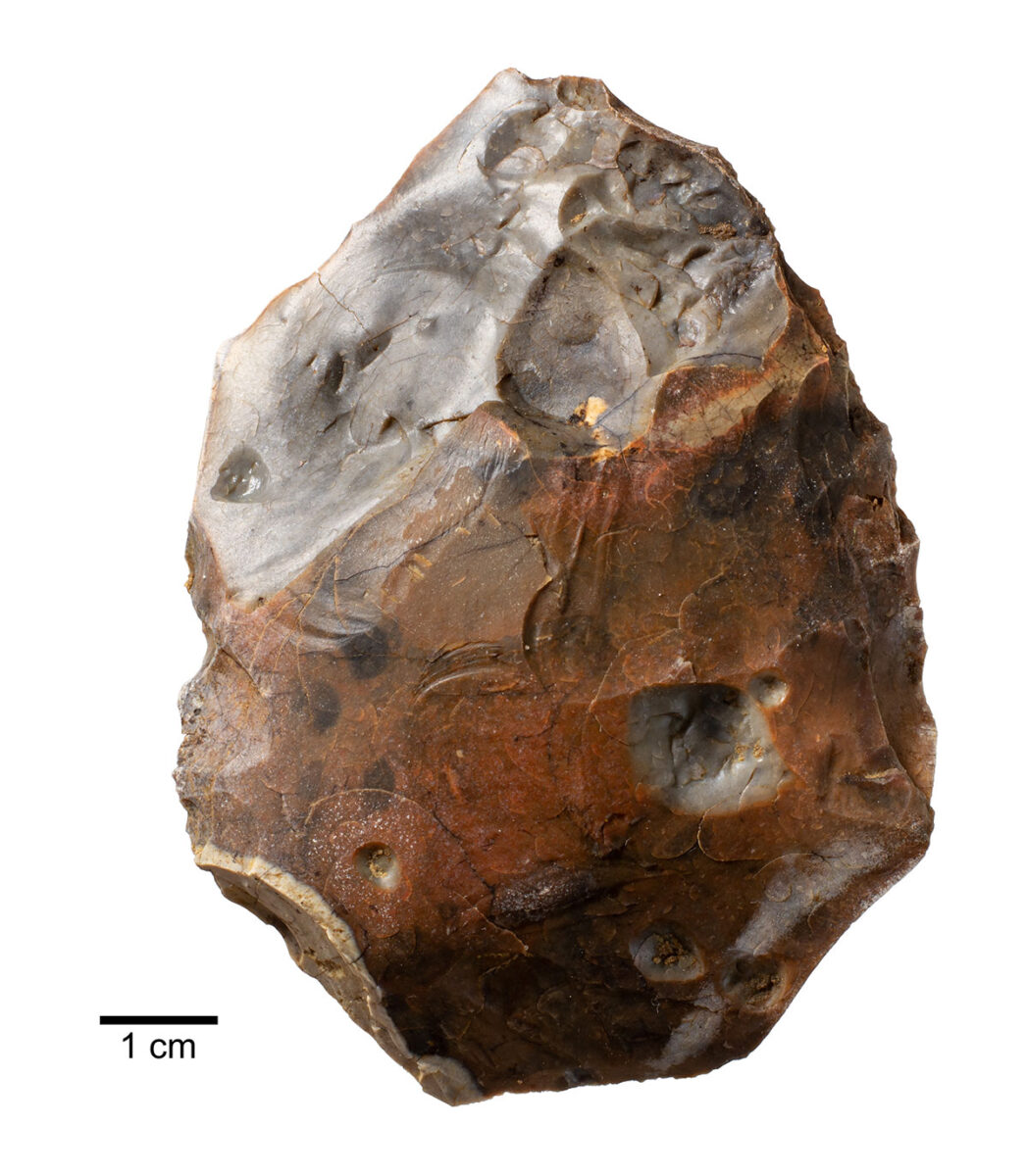 Handaxe. Courtesy Pathways to Ancient Britain Project. Photo: Jordan Mansfield
Heat-shattered handaxe found adjacent to
400,000 year old campfire at Barnham,
Suffolk.
