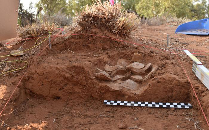 Rare stone tool cache tells story of trade and ingenuity