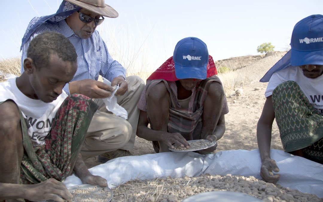 Two ancient human ancestors were neighbors