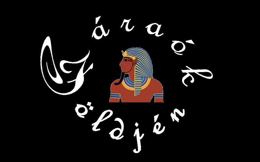 Innovation and Renewal in Ancient Egyptian and Coptic Culture