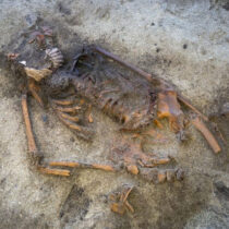 Sensational Viking Age grave newly uncovered