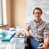 How did Bronze Age plague spread?