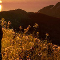 Archaeologists use AI to create prehistoric video game