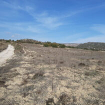 The Graz Amargeti Survey Project