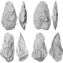 Smarter axes hint to early forms of speech