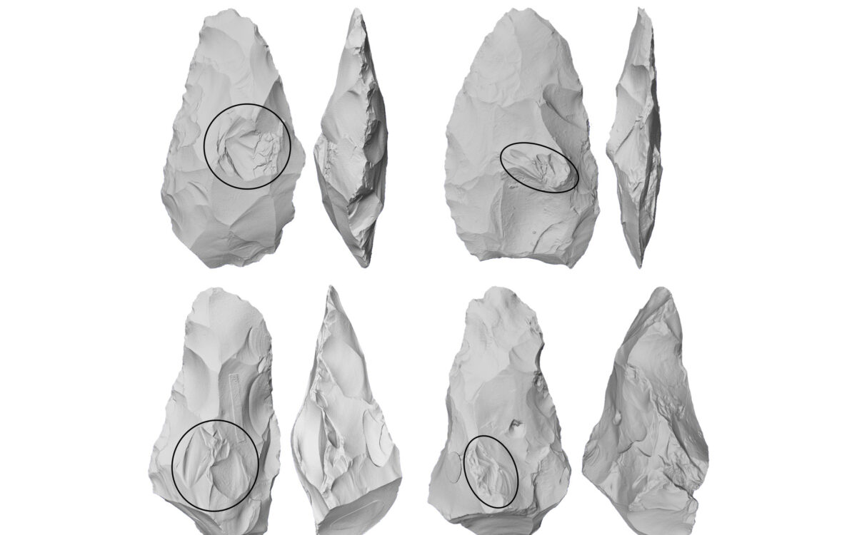 Smarter axes hint to early forms of speech