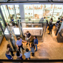 MA in Classics and Ancient History