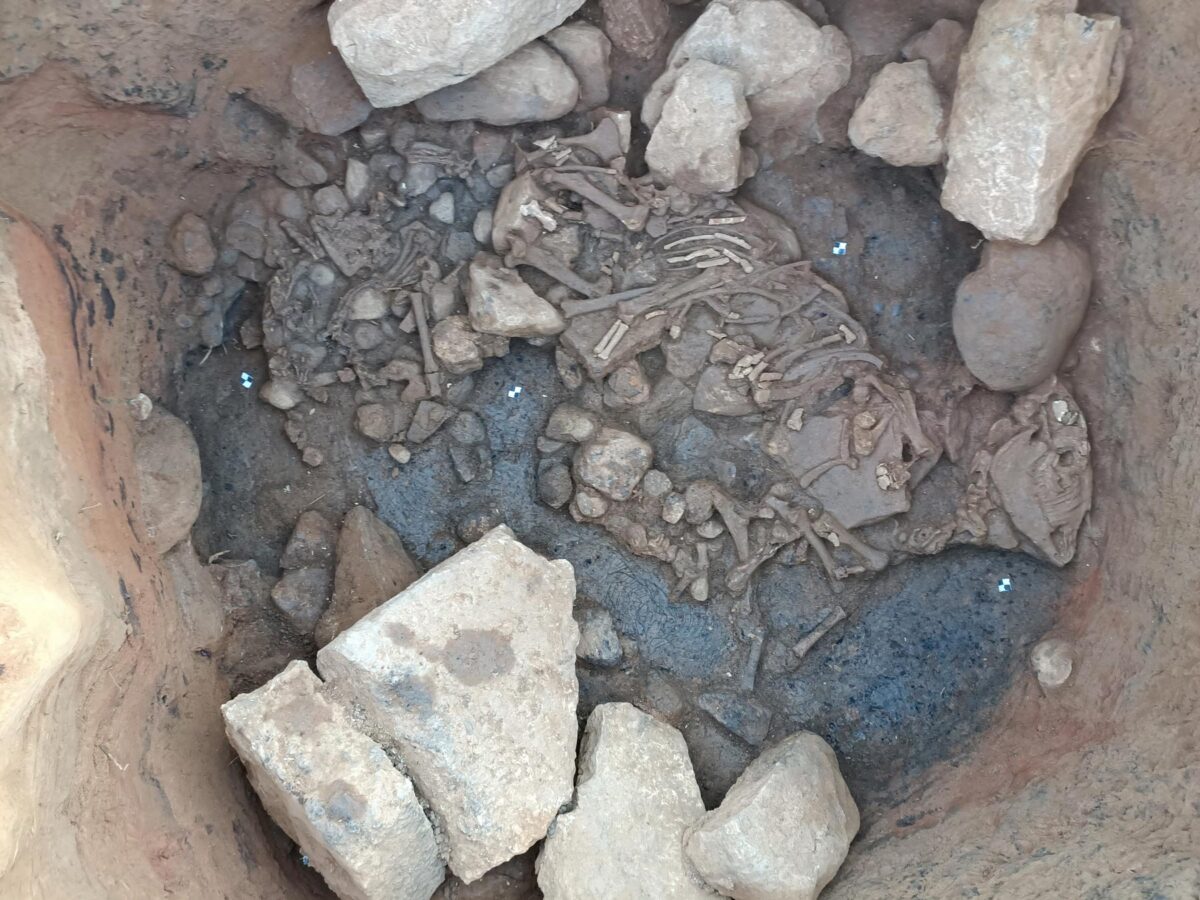 Equid skeleton on the bottom of the pit. Image credit : Ministry of Culture