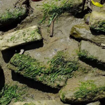 Roman industrial hub discovered on banks of River Wear