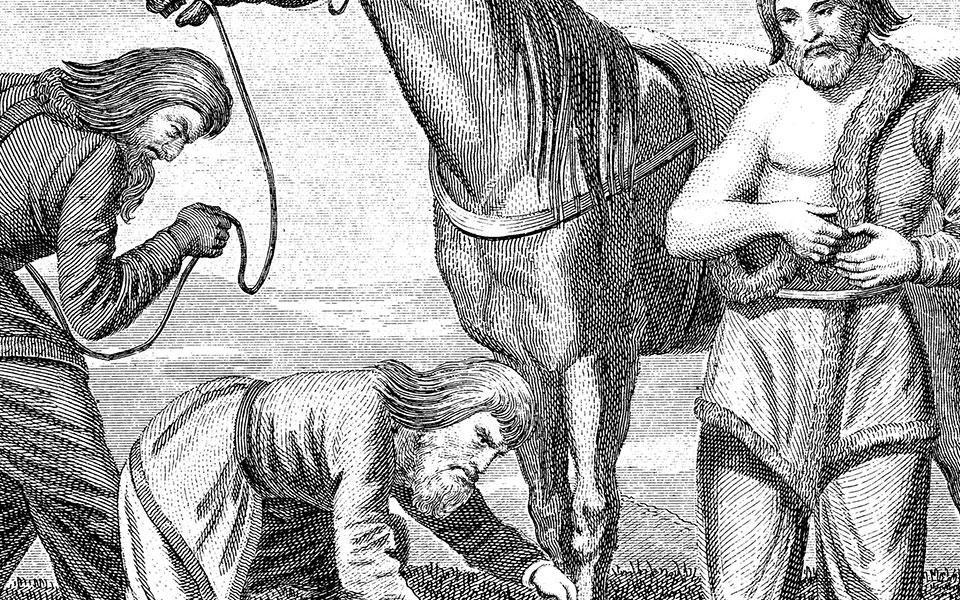 Dental plaque provides insight into the diet of horse-back warriors