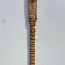 Rare 5th century BC bone stylus found intact in Gela