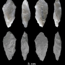 Discovery challenges long-held beliefs on early human technology