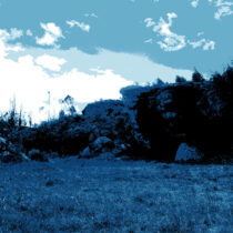 Ancient DNA pushes back record of syphilis bacteria