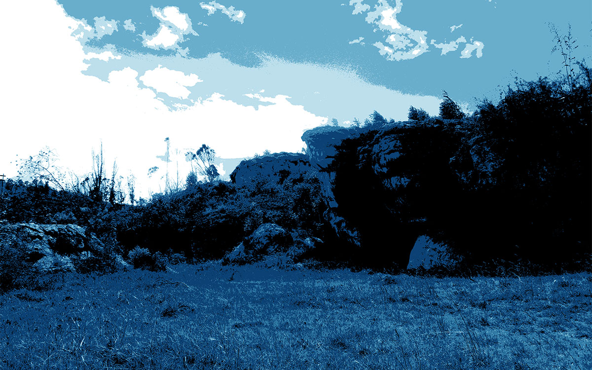 Ancient DNA pushes back record of syphilis bacteria