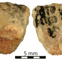 World’s oldest arrow poison