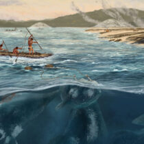 Whale hunting in South America began 5,000 years ago