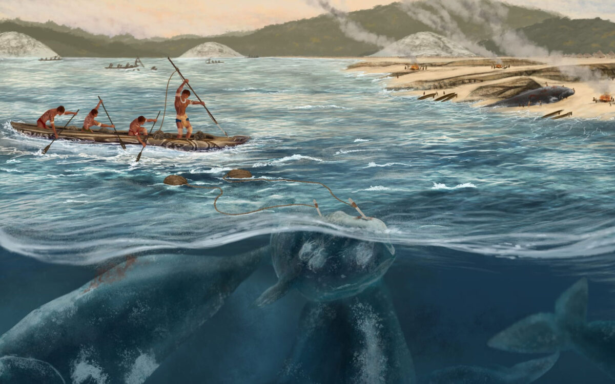 Whale hunting in South America began 5,000 years ago