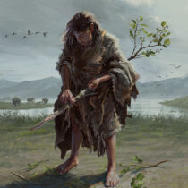 Earliest evidence of wooden tools used by humans