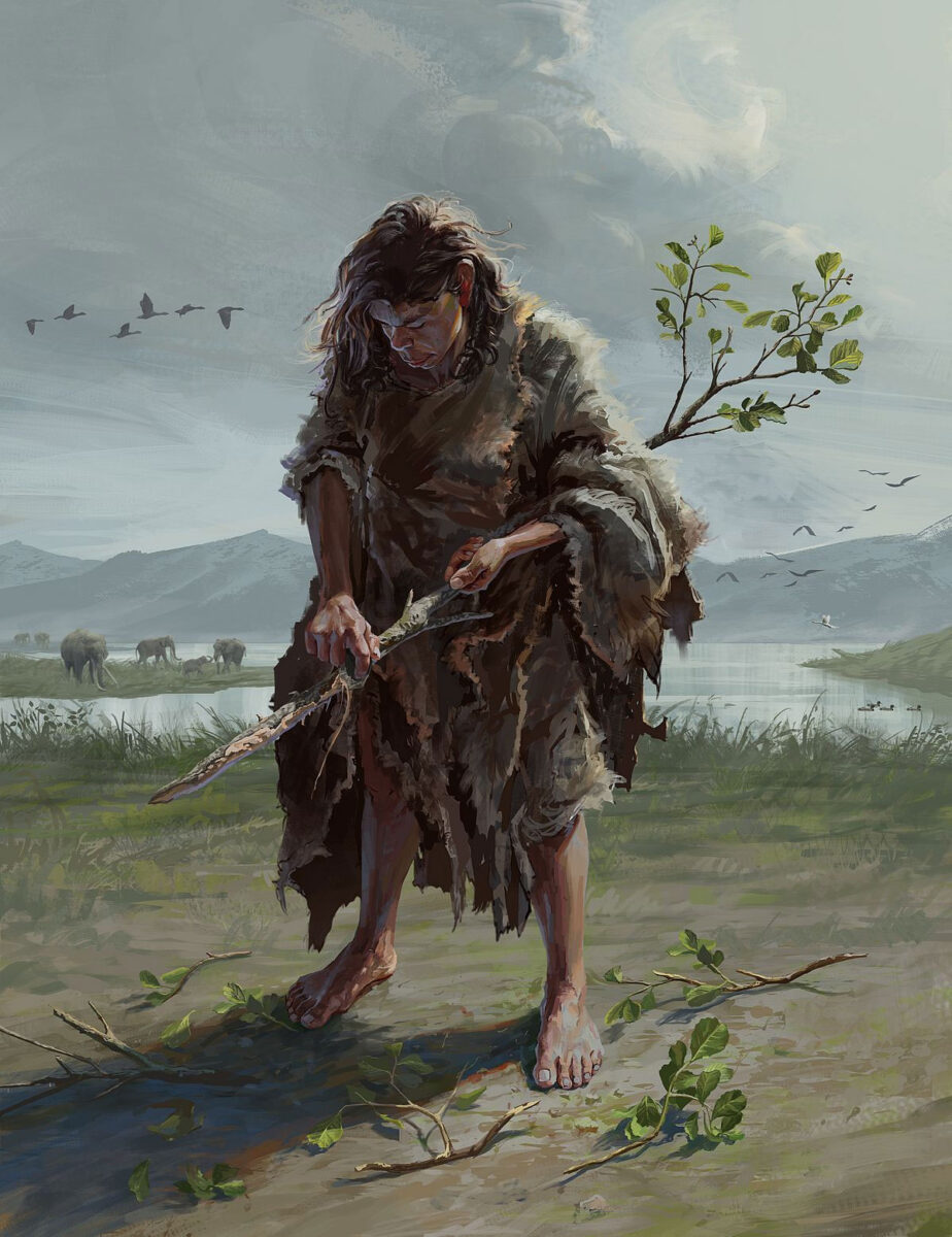 An artist’s reconstruction of a Marathousa 1 paleolithic woman producing a digging stick from a small alder tree trunk with a small stone tool. This kind of wood was used for the Marathousa 1 digging stick. Usewear analysis of stone tools at Marathousa 1 show evidence of woodworking. Original art by G. Prieto, copyright K. Harvati.