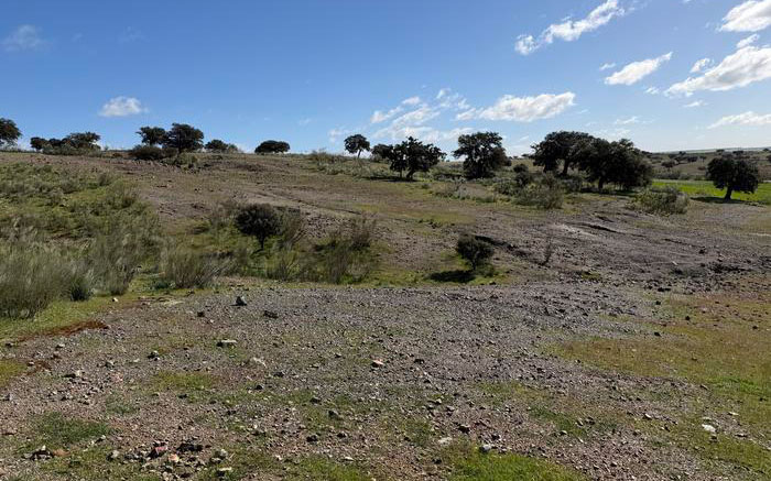 Six newly discovered Bronze Age mines in Spain