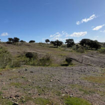 Six newly discovered Bronze Age mines in Spain
